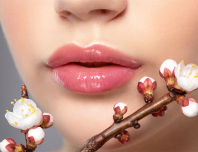6 Best Organic Products to Keep your Lips Soft, Hydrated and Plump 6 Best Organic Products to Keep your Lips Soft, Hydrated and Plump
