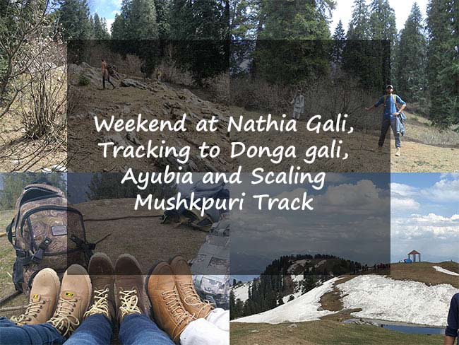 Weekend at Nathia Gali, Tracking to Ayubia from Donga gali and Scaling to Mushkpuri Top